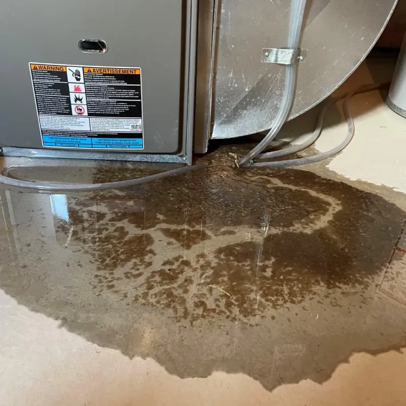 Appliance Leak Cleanup in Lincoln, ME