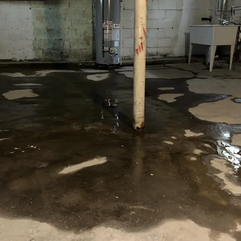 Emergency Water Extraction And Removal in Lincoln, ME